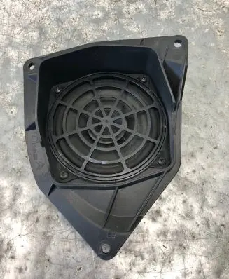 Rear door speaker