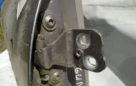 Rear door lower hinge