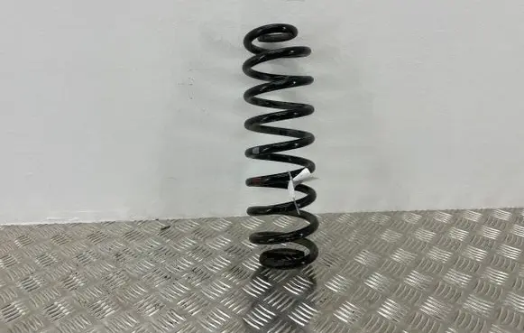 Toyota RAV 4 (XA50) Rear coil spring