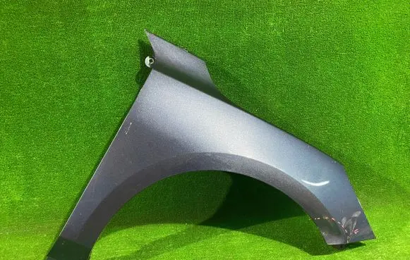 Ford Focus Fender