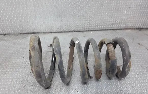 Rear coil spring