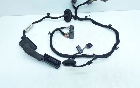 Front door wiring loom