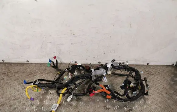 Hyundai Santa Fe Other wiring loom 91700S2020