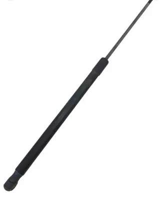 Tailgate/trunk strut/damper