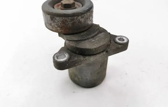 Hyundai Santa Fe Alternator belt tensioner 2528127