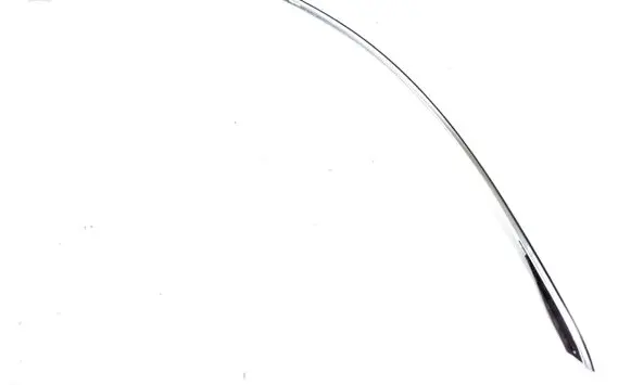 Mercedes-Benz CL C216 Roof trim bar molding cover A2166900039