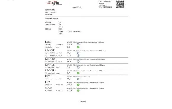 Citroen Jumpy Fuel injector 0445110239