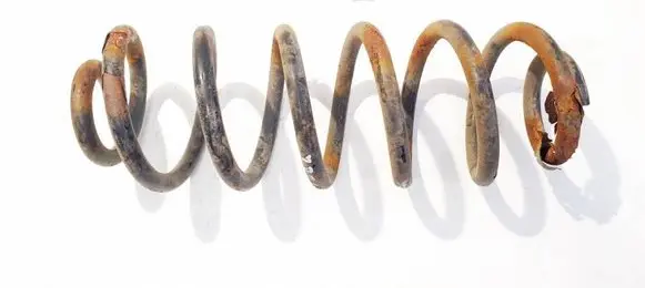 Rear coil spring