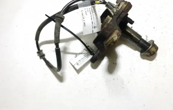 Renault Scenic I Stub axle 
