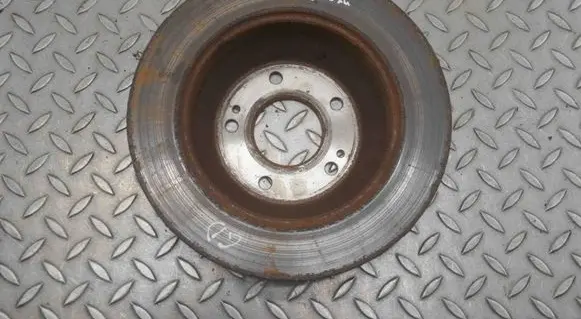 Hyundai Santa Fe Rear brake disc 300MM