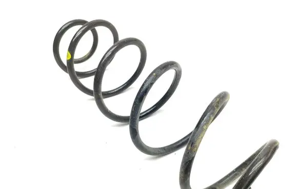 Rear coil spring