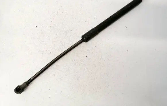 Tailgate/trunk strut/damper