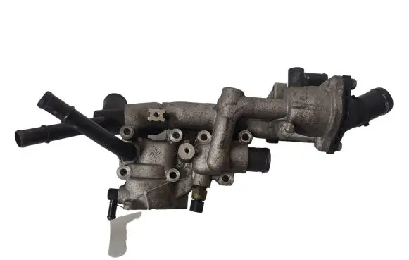 Thermostat/thermostat housing