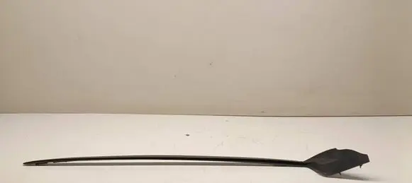 Toyota C-HR I Windshield trim