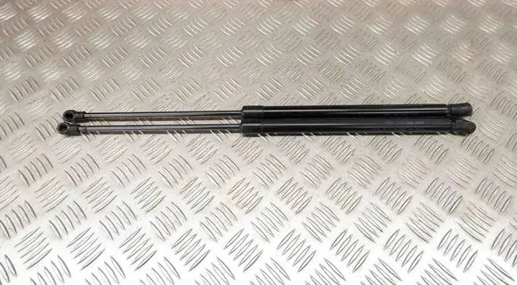 Tailgate/trunk strut/damper