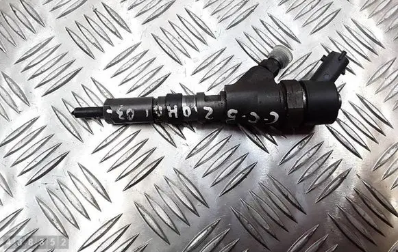 Citroen C5 Fuel injector 0445110076
