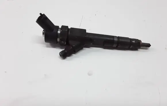 Renault Megane II Fuel injector 8200100272 0445110110B