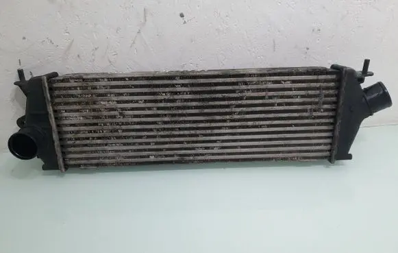 Opel Vivaro Intercooler radiator 8200411160C