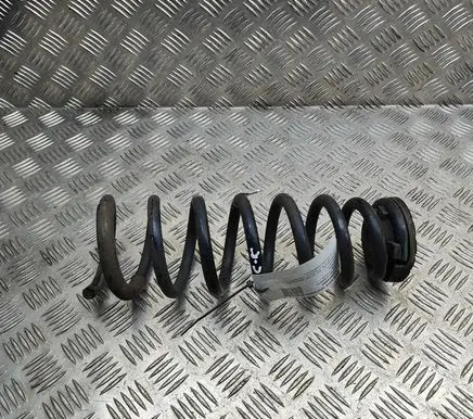 Rear coil spring