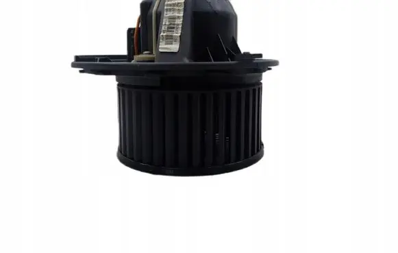 Mercedes-Benz A W169 Front door blower motor A1698200642