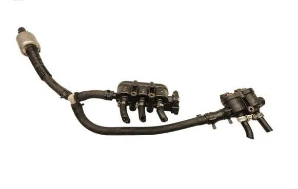 Volvo XC70 LP gas injector 110R000057
