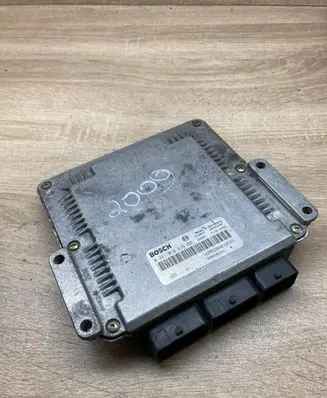 Renault Scenic I Engine control unit/module ECU 8200039569 0281010819