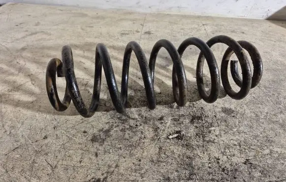 Volkswagen PASSAT B6 Rear coil spring