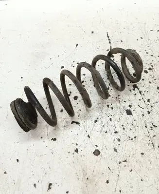 Rear coil spring