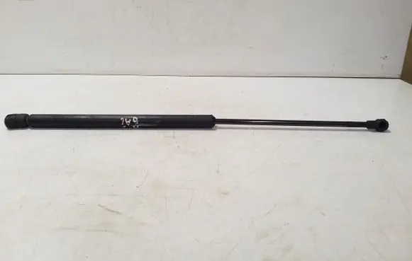 Tailgate/trunk strut/damper