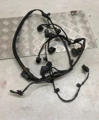 Volkswagen Phaeton Parking sensor (PDC) wiring loom 1U0919275 0263003187