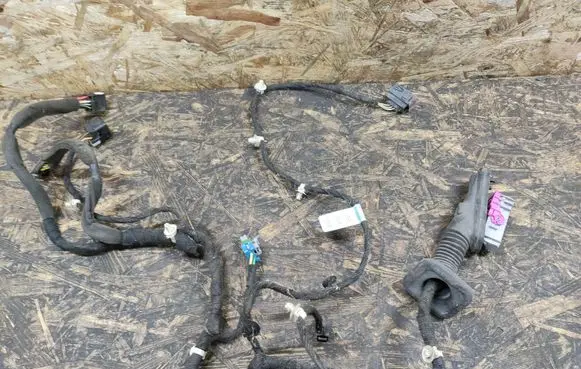 Chevrolet Orlando Front door wiring loom 599859902 96852427