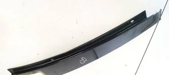 BMW 5 GT F07 Rear door glass trim molding 7209716