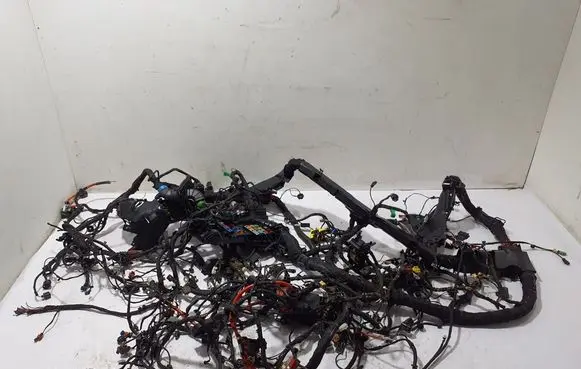 Audi A6 S6 C9 4L Wiring harness 4P0971641S