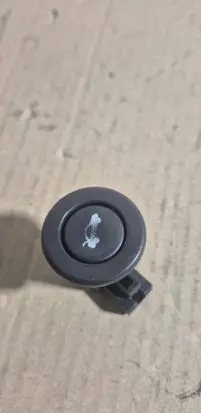 Chevrolet Epica Tailgate opening switch 7G13
