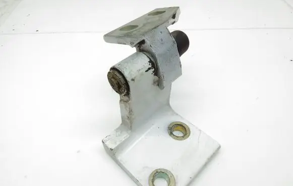 Peugeot 406 Rear door lower hinge