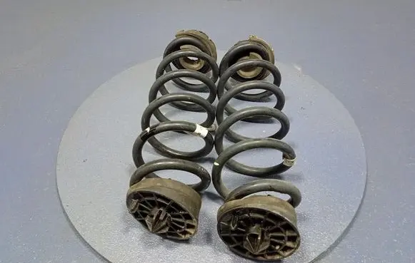 Rear coil spring