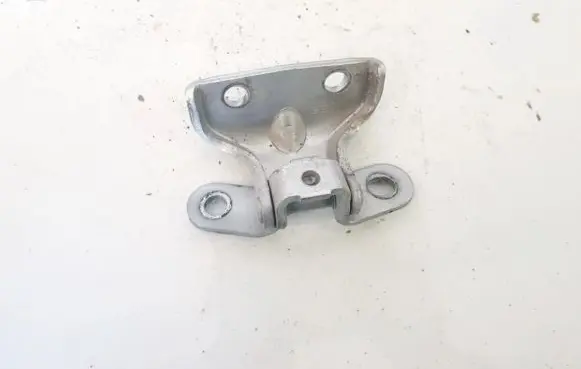 Hyundai Sonata Rear door lower hinge