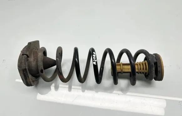 Renault Megane IV Rear coil spring