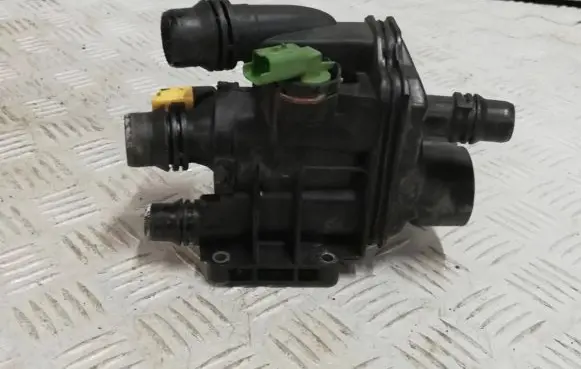 Citroen DS3 Thermostat/thermostat housing 9807198480 95819PS 94636PS