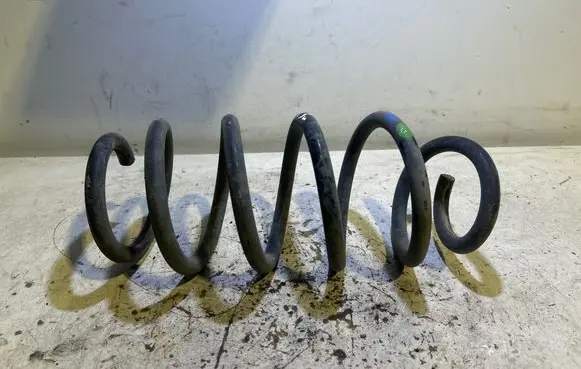 Dacia Duster II Rear coil spring