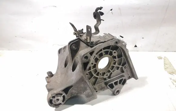 Opel Zafira B Fuel pump bracket 55187918