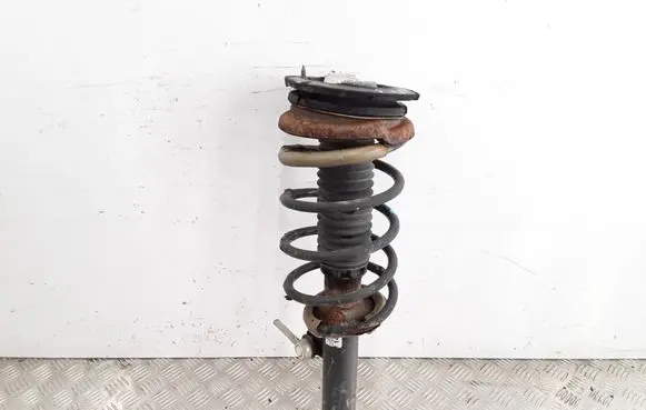 Peugeot 406 Front shock absorber with coil spring 14TG