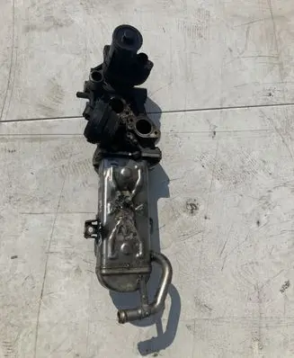 Seat Alhambra (Mk2) EGR valve cooler 03P131512D