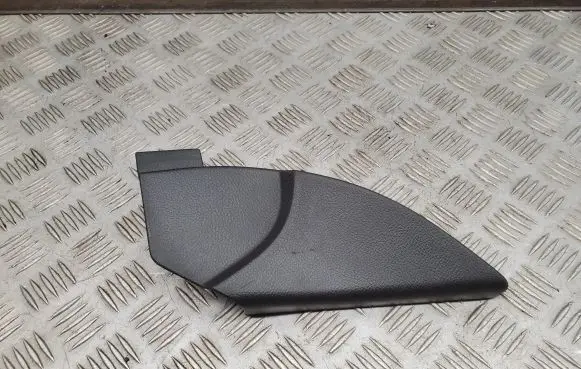 Dodge RAM Other front door trim element 1HA42TRMAA