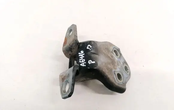 Hyundai Santa Fe Rear door lower hinge