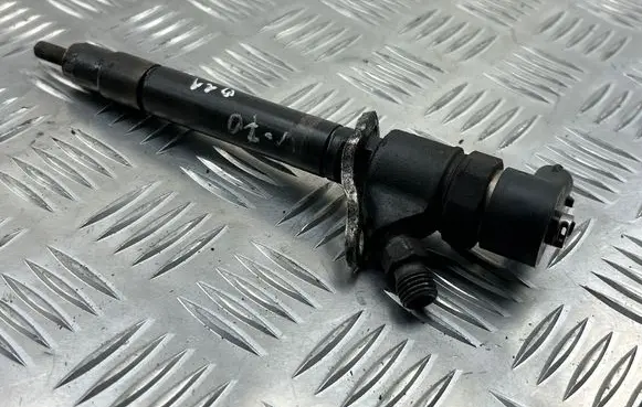 Volvo V70 Fuel injector 0445110298