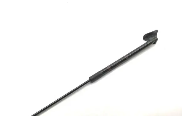 Toyota C-HR I Tailgate/trunk strut/damper 68950F4061
