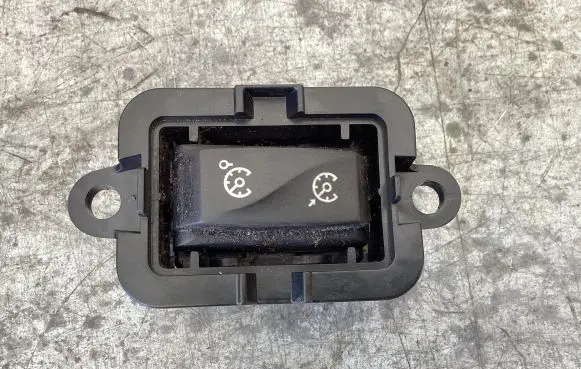 Renault Megane III Cruise control switch 1015009001
