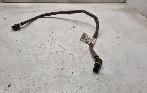 Mercedes-Benz CLS C219 Other wiring loom A2195404906 20080812