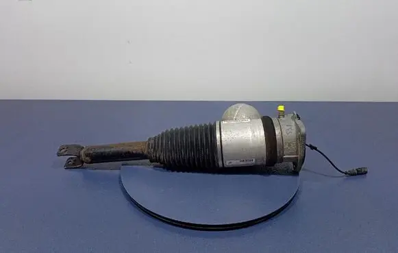 Rear shock absorber/damper